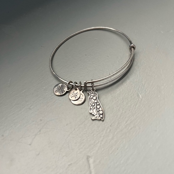 Alex and Ani Jewelry - Alex and Ani Penguin Bracelet